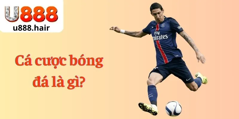 Cá cược bóng đá là gì?