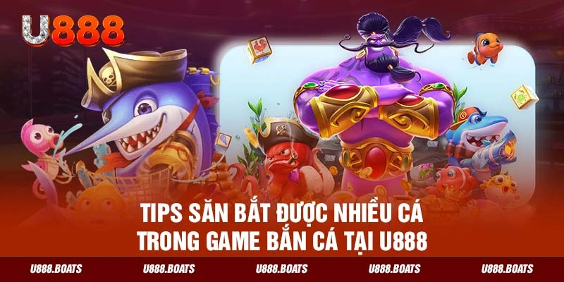 Tips săn bắt được nhiều cá trong game bắn cá tại U888